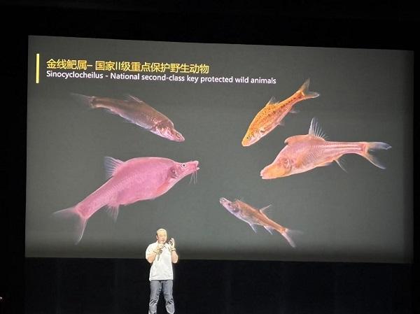 玉米地里钓起洞穴鱼！上海迪士尼度假区推出环保系列主题活动